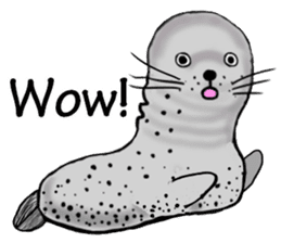 40 of the harbor seal countenance sticker #12279668