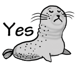 40 of the harbor seal countenance sticker #12279669