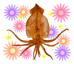 Dried cuttlefish sticker #12279932