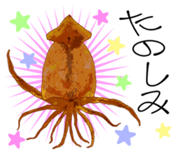 Dried cuttlefish sticker #12279935