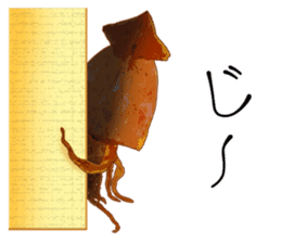 Dried cuttlefish sticker #12279957