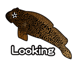 Fishes of the Similan Islands sticker #12281180