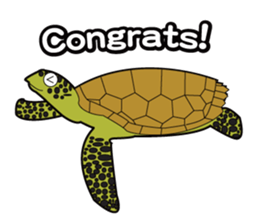 Fishes of the Similan Islands sticker #12281184