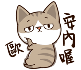 Little Cute Cat~ sticker #12282506