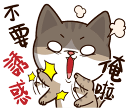 Little Cute Cat~ sticker #12282508
