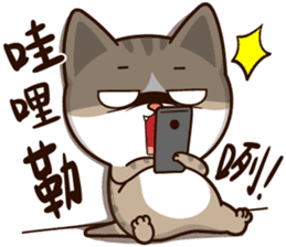 Little Cute Cat~ sticker #12282509