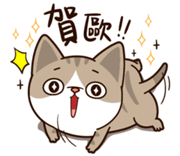 Little Cute Cat~ sticker #12282516