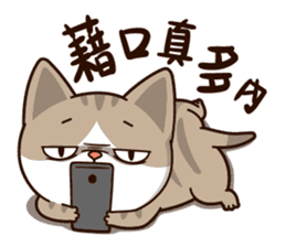 Little Cute Cat~ sticker #12282517