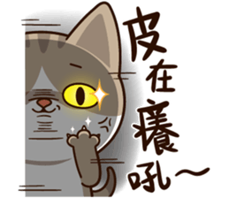 Little Cute Cat~ sticker #12282538