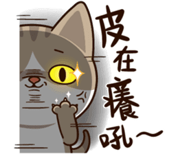 Little Cute Cat~ sticker #12282538