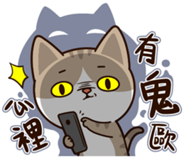Little Cute Cat~ sticker #12282541
