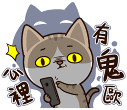 Little Cute Cat~ sticker #12282541