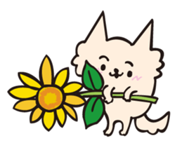 Sora Happy summer!! sticker #12282766