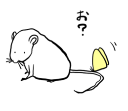 White squeak squeak sticker #12283986