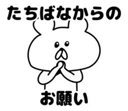 Sticker Tachibana-san send sticker #12284669