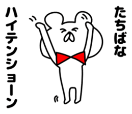 Sticker Tachibana-san send sticker #12284671