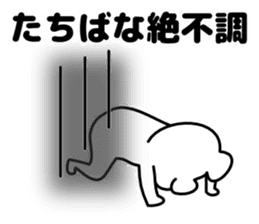 Sticker Tachibana-san send sticker #12284673