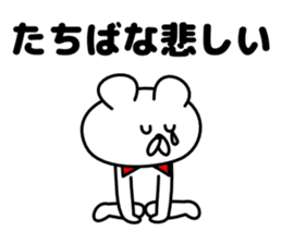 Sticker Tachibana-san send sticker #12284679