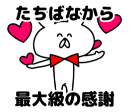 Sticker Tachibana-san send sticker #12284684