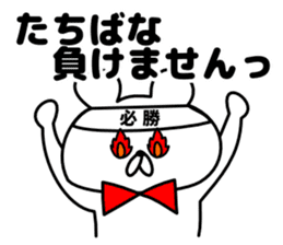 Sticker Tachibana-san send sticker #12284686