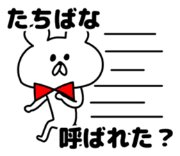 Sticker Tachibana-san send sticker #12284690