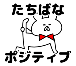 Sticker Tachibana-san send sticker #12284694