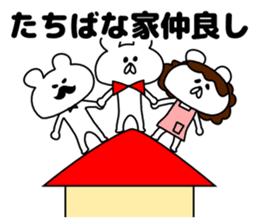 Sticker Tachibana-san send sticker #12284701