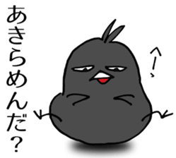 Cheeky crow sticker #12287191