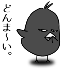 Cheeky crow sticker #12287192