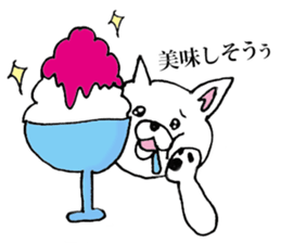 Daily summer of white Chihuahua sticker #12291674