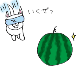 Daily summer of white Chihuahua sticker #12291675