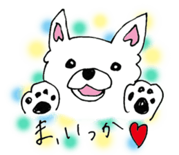 Daily summer of white Chihuahua sticker #12291679