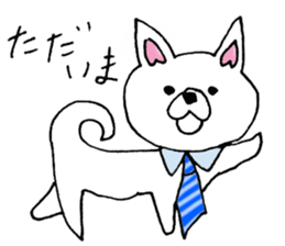 Daily summer of white Chihuahua sticker #12291684