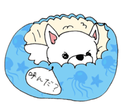 Daily summer of white Chihuahua sticker #12291688