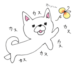 Daily summer of white Chihuahua sticker #12291695