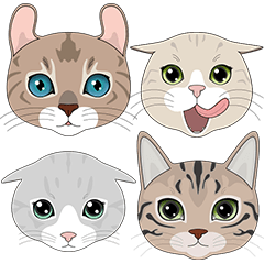 CAT FACE !