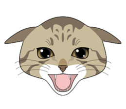 CAT FACE ! sticker #12291709