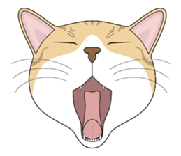 CAT FACE ! sticker #12291710
