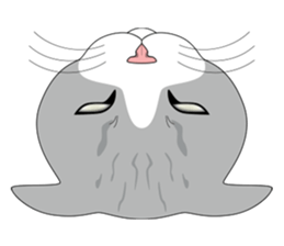 CAT FACE ! sticker #12291712