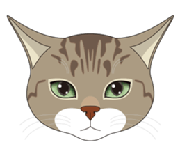 CAT FACE ! sticker #12291713