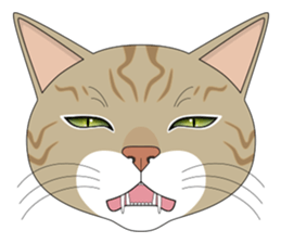 CAT FACE ! sticker #12291716