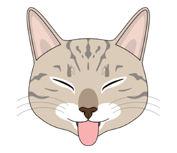 CAT FACE ! sticker #12291718