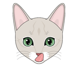 CAT FACE ! sticker #12291719