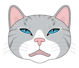 CAT FACE ! sticker #12291720