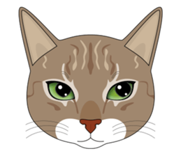 CAT FACE ! sticker #12291721