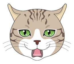 CAT FACE ! sticker #12291723