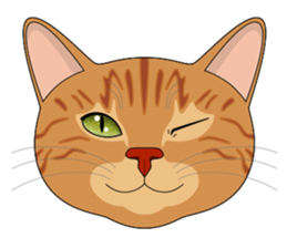 CAT FACE ! sticker #12291724