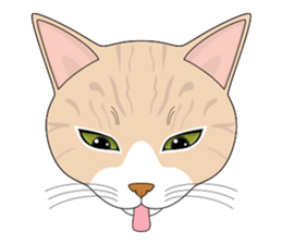CAT FACE ! sticker #12291727