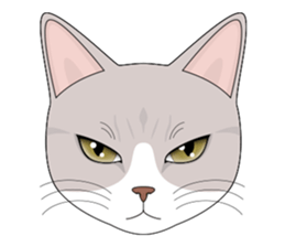CAT FACE ! sticker #12291728