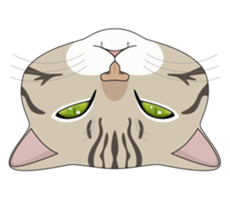CAT FACE ! sticker #12291732